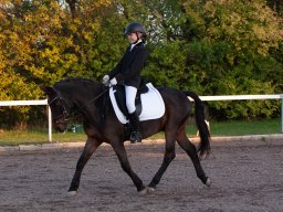 IMG_8080_web
